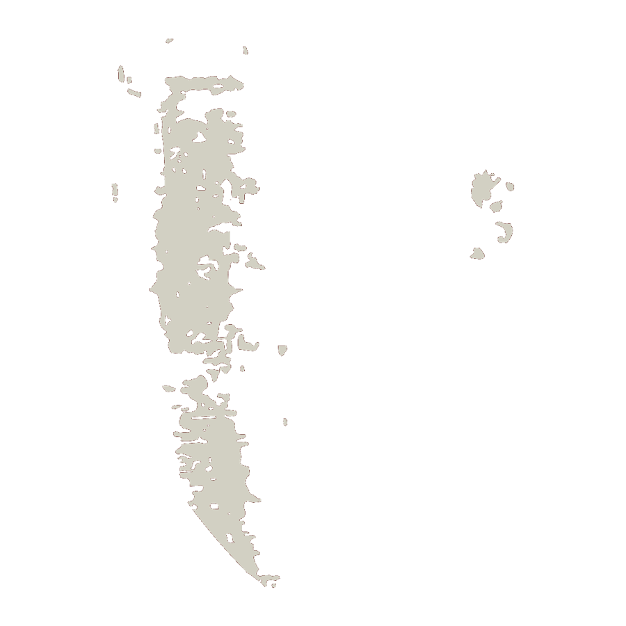 Screen 1, bone